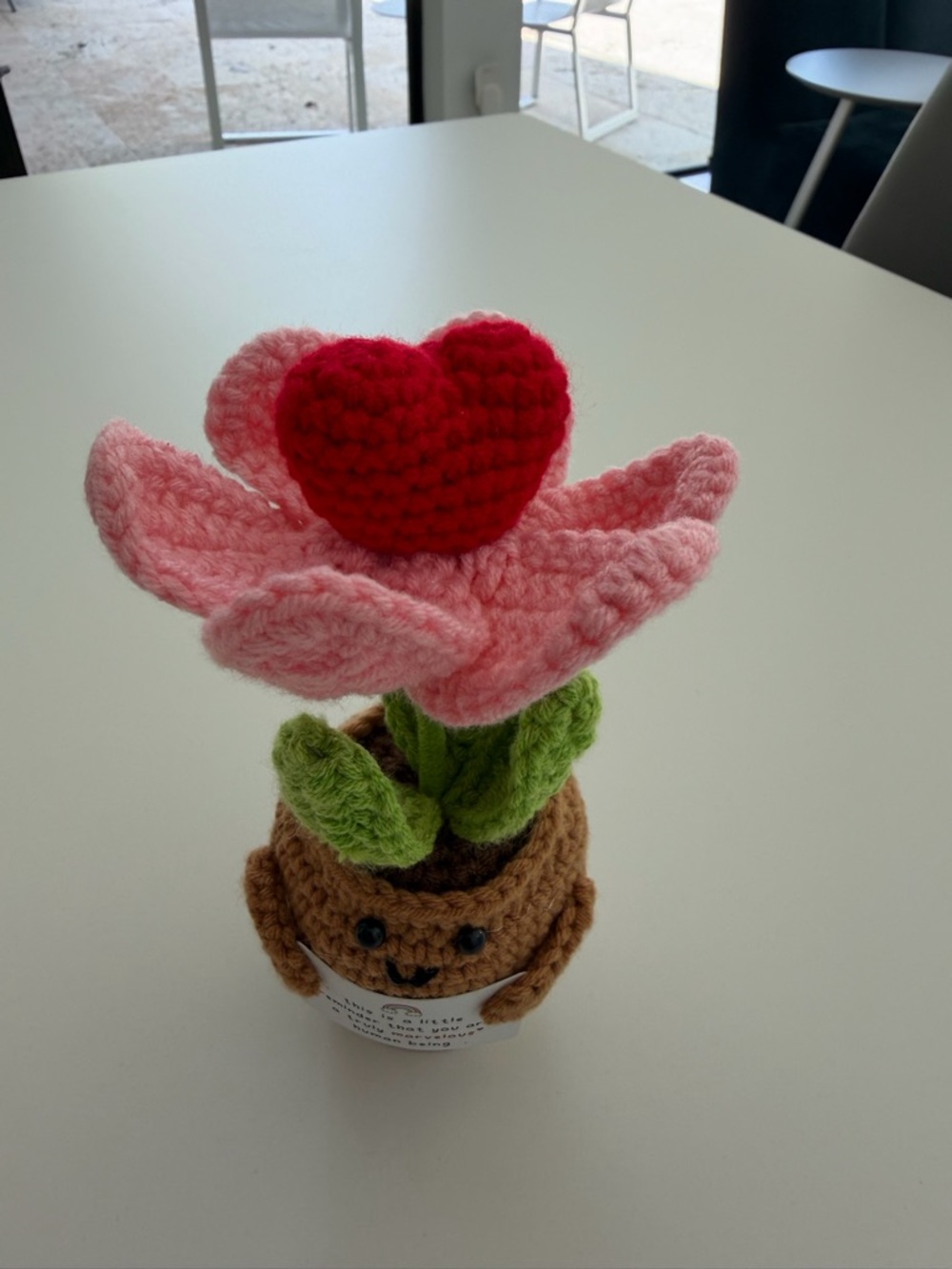 Crochet Flower Pot with Heart
